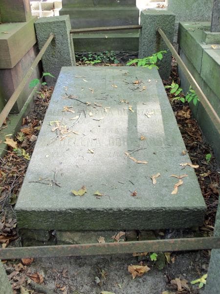 Zdjęcie grobu Stanisława Dobrzańska (2)