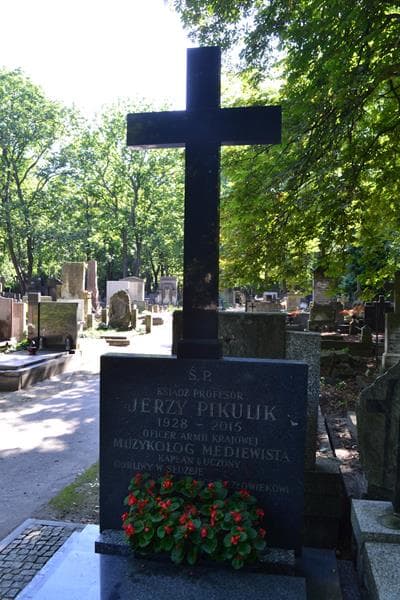 Zdjęcie grobu Jerzy Pikulik (2)