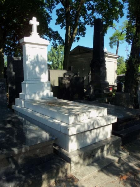 Zdjęcie grobu Edmund Stanisław Warzyszyński (1)