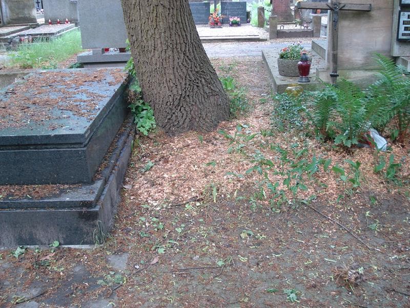 Zdjęcie grobu: Pole Grobowe