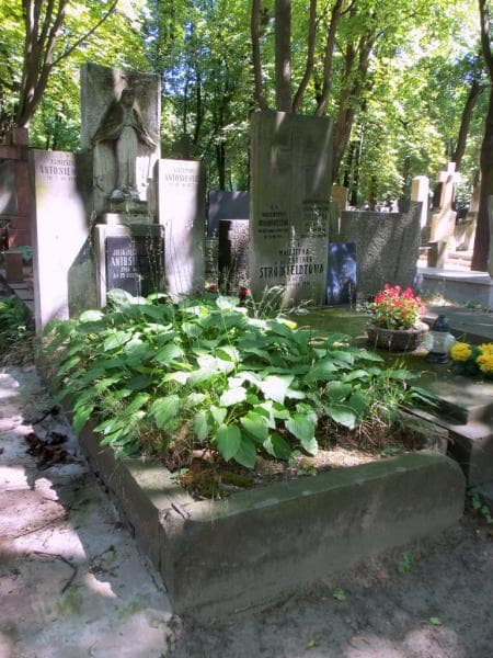 Zdjęcie grobu: Szczepan Antosiewicz