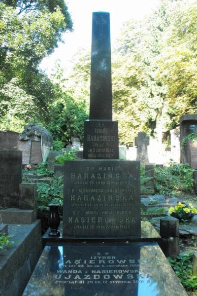 Zdjęcie grobu Wanda Ujazdowska (2)