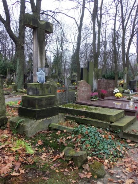 Zdjęcie grobu Helena Van Der Beek (1)