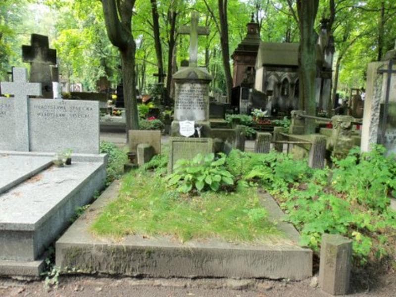 Zdjęcie grobu: Klementyna Chrostowska