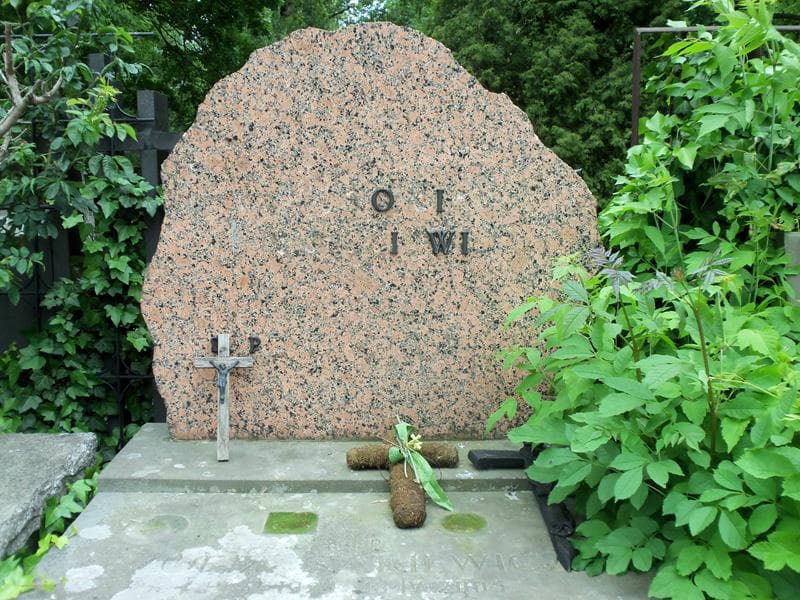 Zdjęcie grobu E. Homik (2)