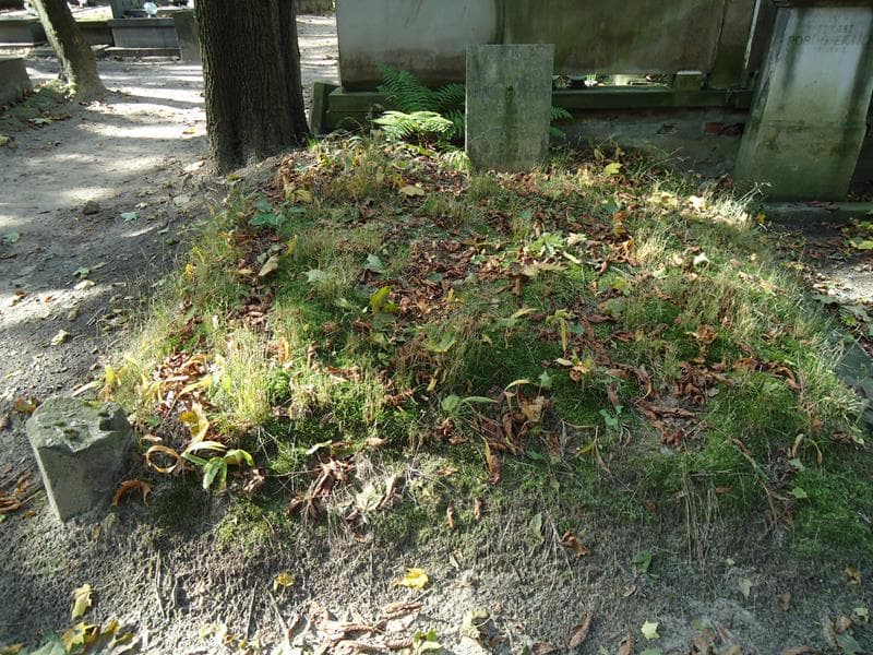 Zdjęcie grobu: Łucyan Saryusz Bielski