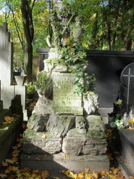 Zdjęcie grobu Ignacy Malinowski (1)