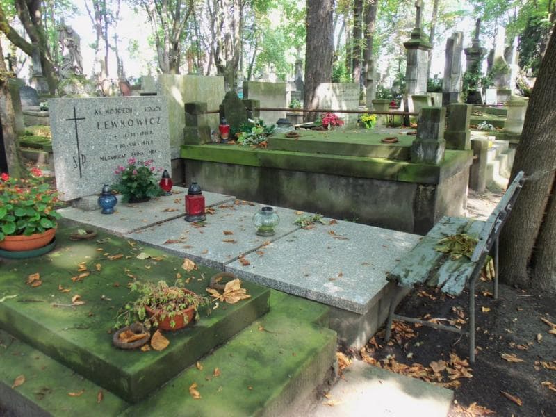 Zdjęcie grobu Wojciech Ignacy Lewkowicz (1)