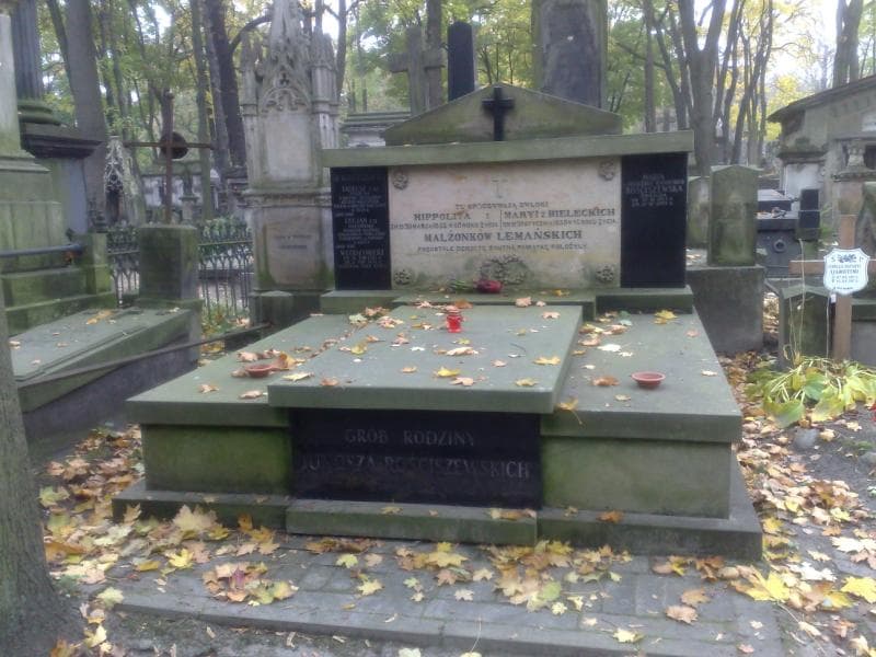 Zdjęcie grobu: Marya Lemańska