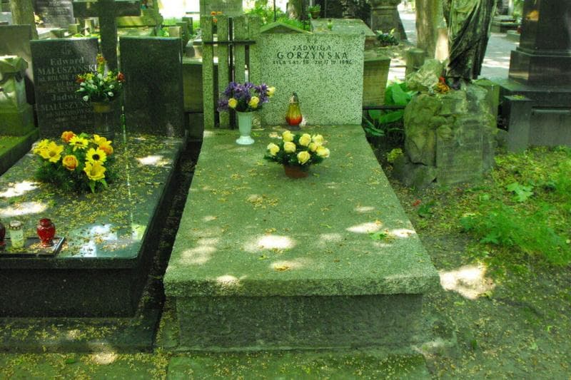 Zdjęcie grobu Jadwiga Górzyńska (1)