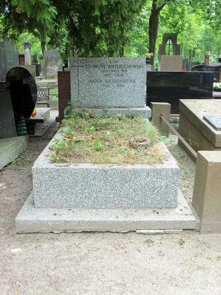 Zdjęcie grobu: Anna Ossowiecka