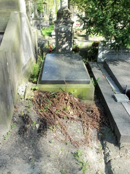 Zdjęcie grobu: Aleksander Dobrowolski