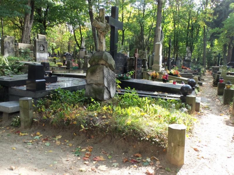 Zdjęcie grobu Feliks Lipiński (1)