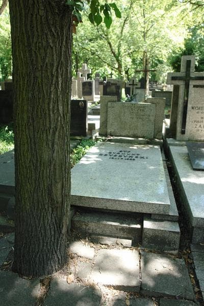 Zdjęcie grobu Zygmunt Zbyszyński (1)