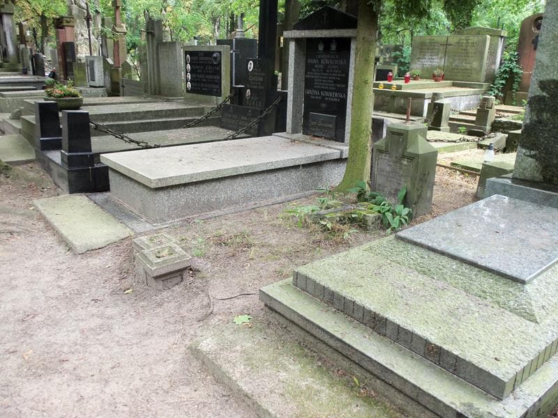 Zdjęcie grobu Bronisław Drzewiecki (1)