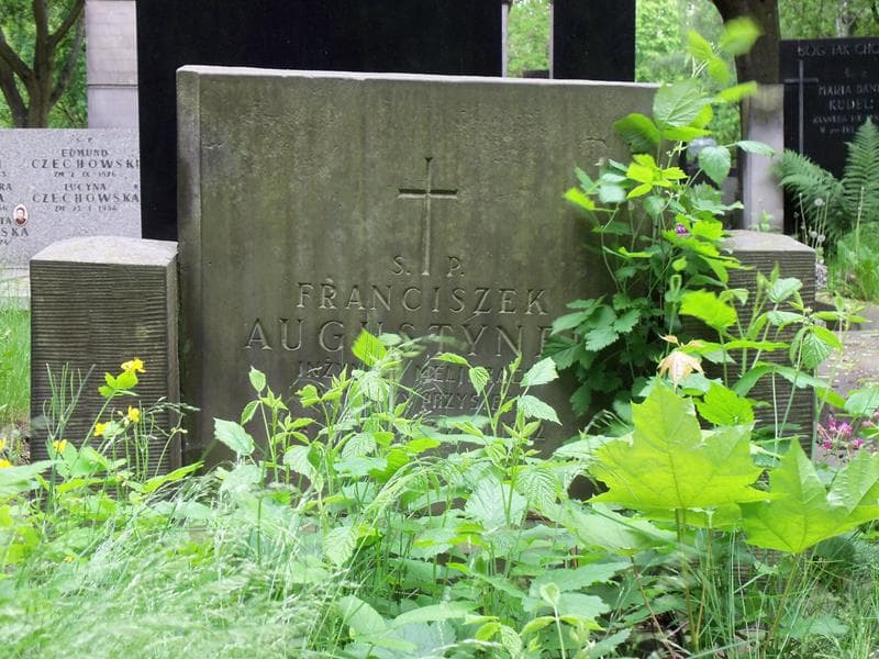 Zdjęcie grobu Franciszek Augustynek (2)