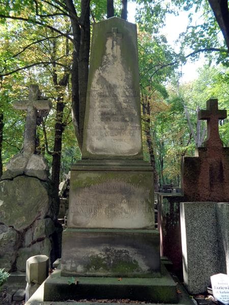 Zdjęcie grobu Antonina Leokadia Danowska (2)