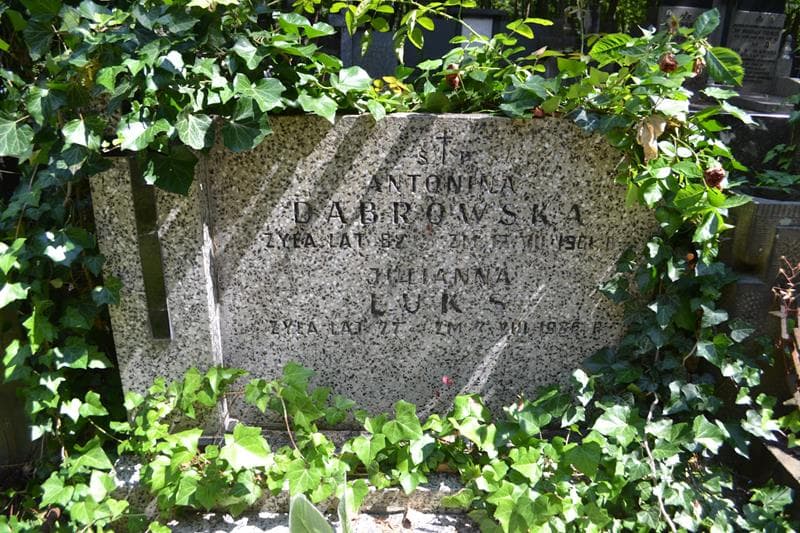 Zdjęcie grobu Antonina Dąbrowska (2)
