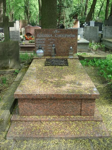 Zdjęcie grobu: Helena Cholewa