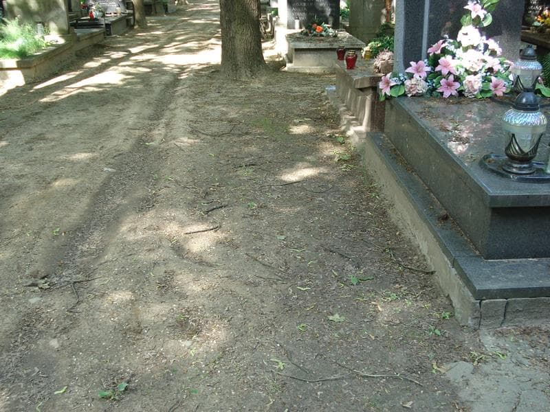 Zdjęcie grobu: Pole Grobowe