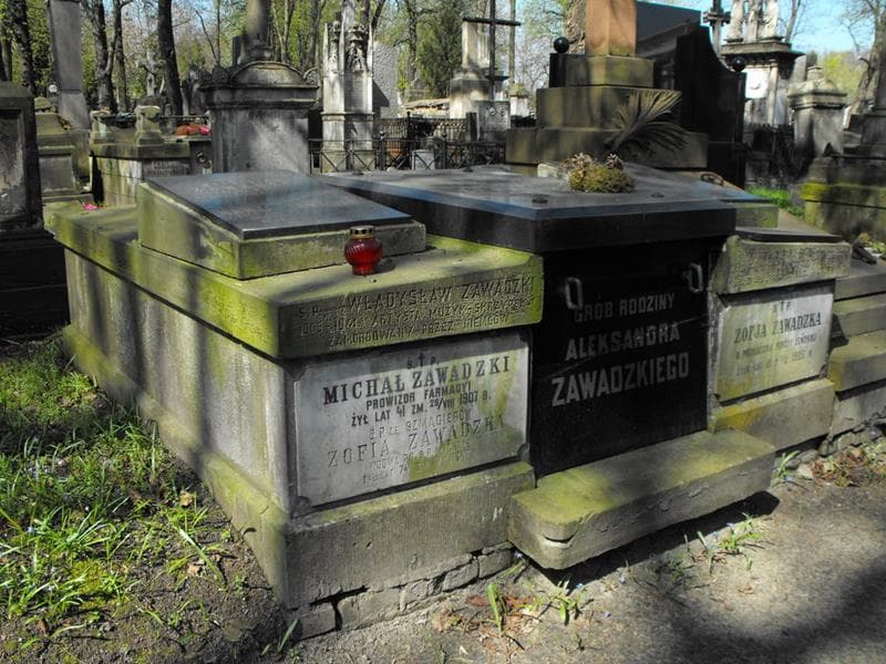 Zdjęcie grobu: Albina Biała