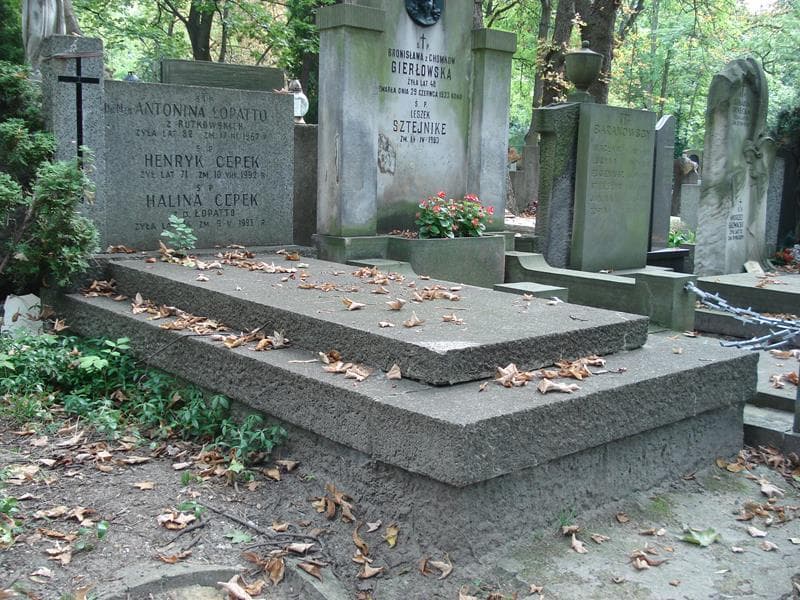 Zdjęcie grobu Halina Cepek (1)