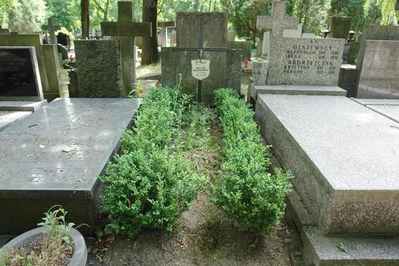 Zdjęcie grobu Wacław Przypkowski (1)