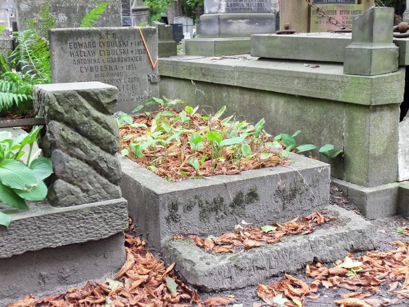 Zdjęcie grobu Stefania Cybulska (1)