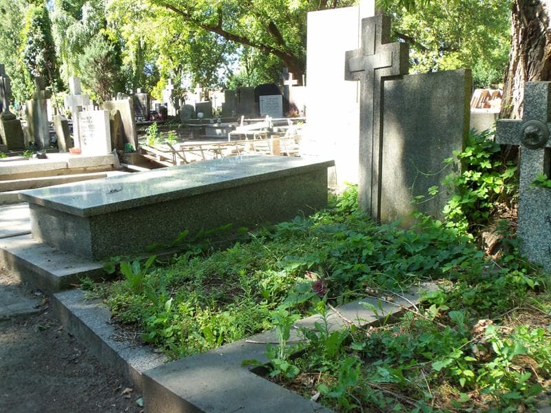 Zdjęcie grobu Michalina Lis (1)