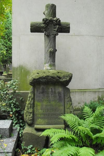 Zdjęcie grobu Karol Brandt (2)