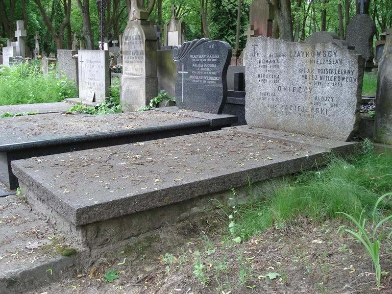 Zdjęcie grobu Alojzy Omiecki (1)