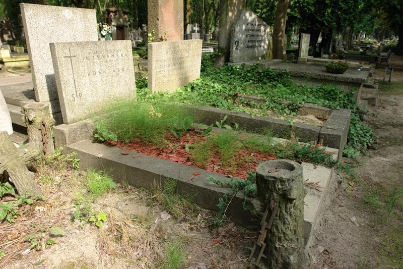 Zdjęcie grobu: Ludomir Mieczysław Kośmiński