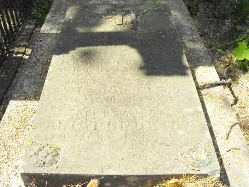 Zdjęcie grobu Aleksander Pawłowski (2)