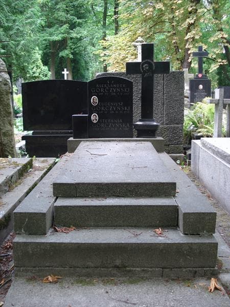 Zdjęcie grobu Aleksander Górczyński (1)
