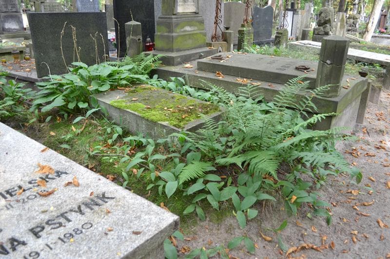 Zdjęcie grobu: Włodzimierz Gołaszewski