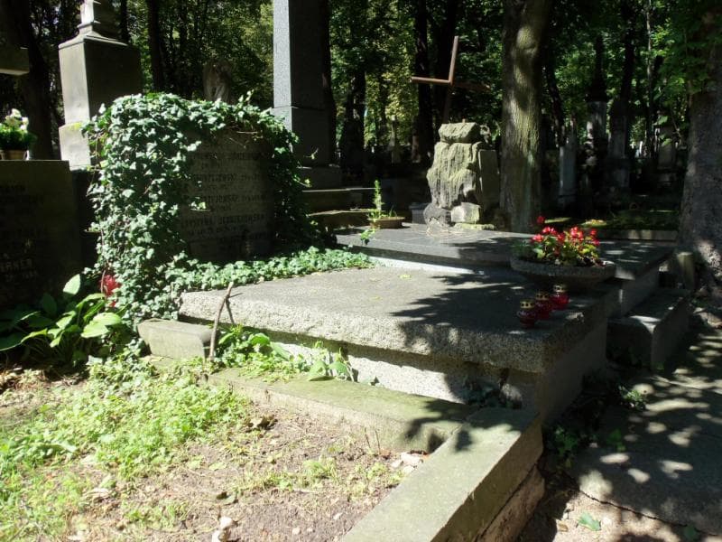 Zdjęcie grobu Zygmunt Jędrzejowski (2)