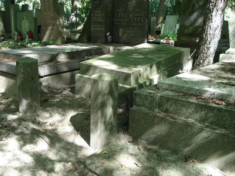 Zdjęcie grobu Kazimierz Goszczyński (2)