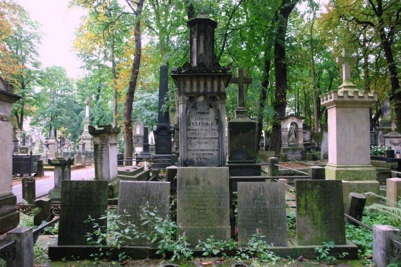 Zdjęcie grobu Zofja Żylińska (2)