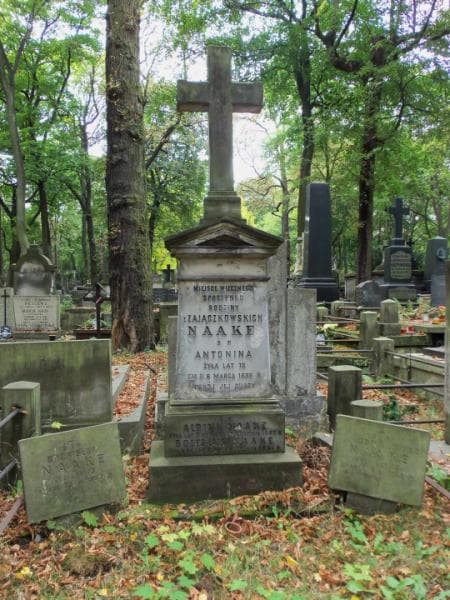 Zdjęcie grobu Leonia Naake (2)