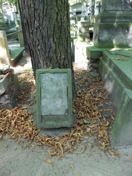 Zdjęcie grobu: Dyonizy Lanckoroński