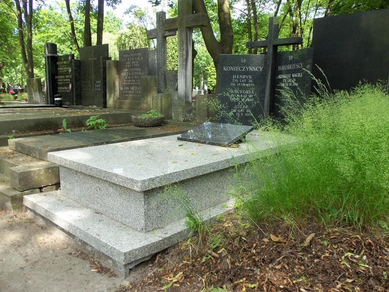 Zdjęcie grobu Ireneusz Maciej Białobrzeski (1)