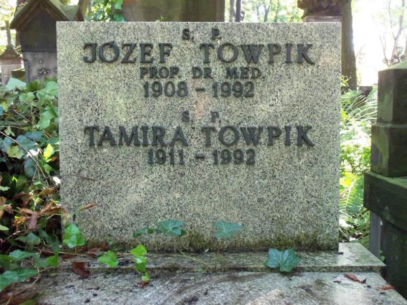 Zdjęcie grobu Józef Towpik (1)
