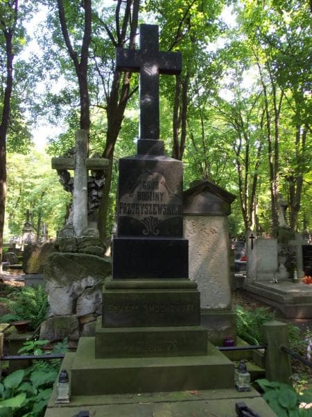 Zdjęcie grobu Edward Dmochowski (2)