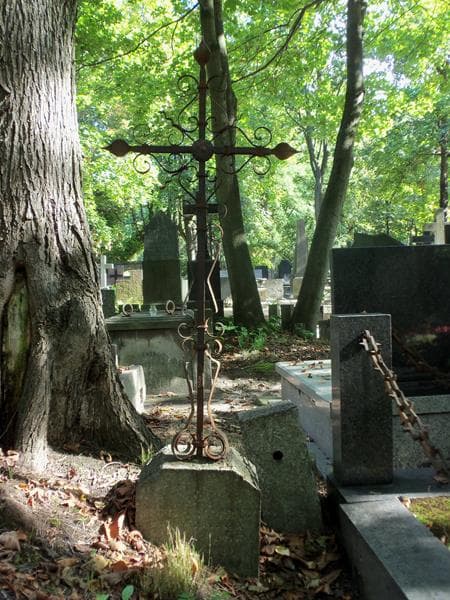 Zdjęcie grobu Marja Pawłowska (1)