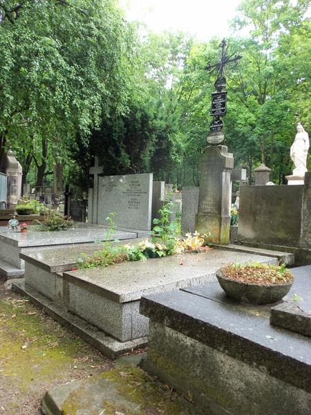 Zdjęcie grobu Feliks Niedziałkowski (1)