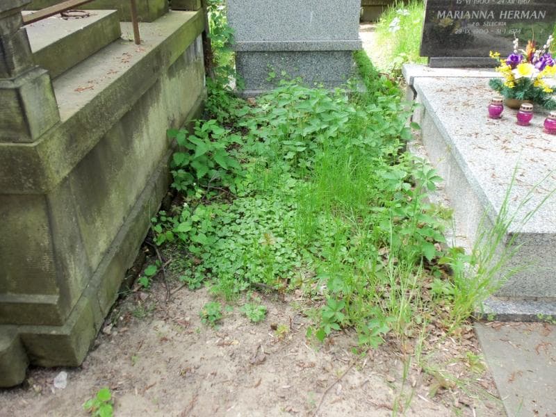 Zdjęcie grobu: Pole Grobowe