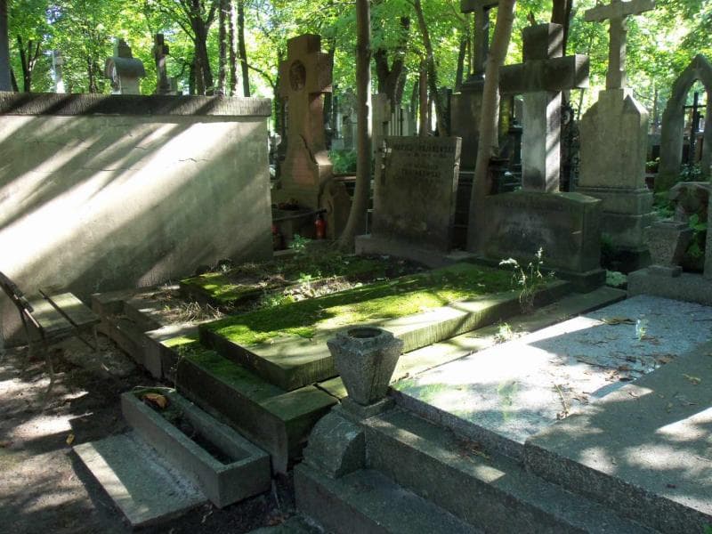 Zdjęcie grobu Zofia Zdunowska (1)