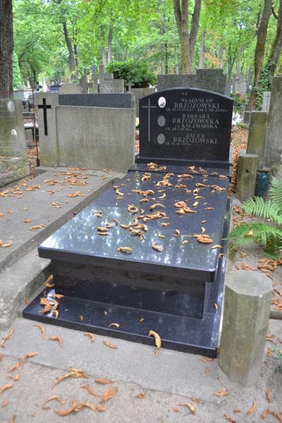 Zdjęcie grobu Władysław Brzozowski (1)