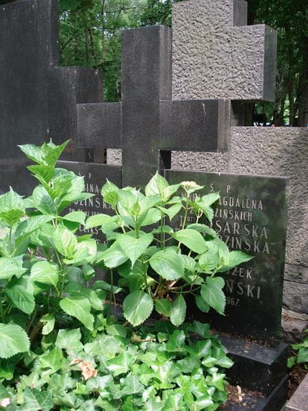 Zdjęcie grobu Franciszek Judziński (2)