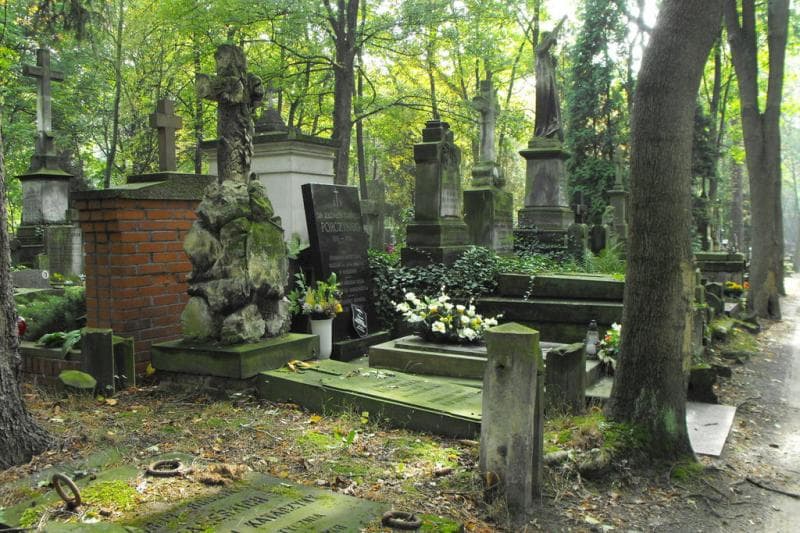 Zdjęcie grobu Konstancja Kulikowska (1)